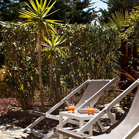 فندق & Les Mouettes أرجيليه- سور- مير