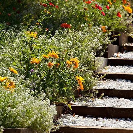 & Les Mouettes أرجيليه- سور- مير