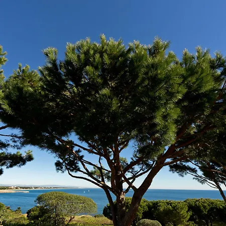 & Les Mouettes 4* أرجيليه- سور- مير