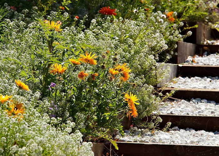 Les Mouettes Argeles-sur-Mer