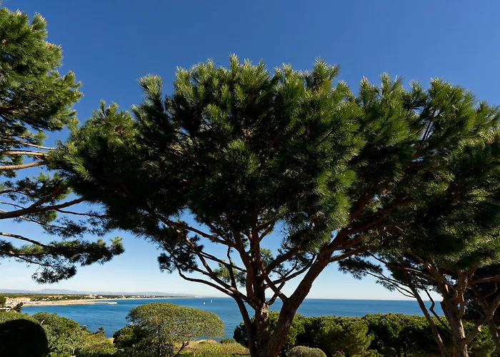 Les Mouettes 4* Argeles-sur-Mer